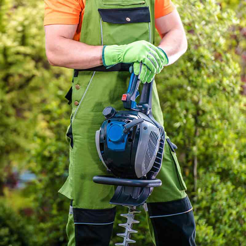 https://dansjardin.fr/wp-content/uploads/2019/08/home_4_services.jpg